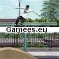 Skateboard City SWF Game